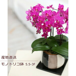 Ӓ a     Ӓ R`E ~fBӒ 3F 3{ Mtg sN Yn bNX bZ[W a W t LO v[g j  Vzj 