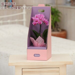 Ӓ a     Ԕ R`E sN Mtg bNX bZ[W Yn j W oYj LO v[g ق̋C j  Vzj ㎿ȕ