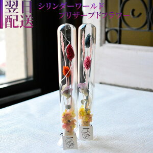  vU[uht[ v[g KXV_[ a vU[uh v[g  p  w ͂ ŋz z