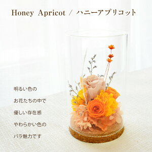 hV̓  vU[uht[ t[AWg P[LZbg v[g vU[uh AW a AWg Vz  Ê   j t[Mtg 