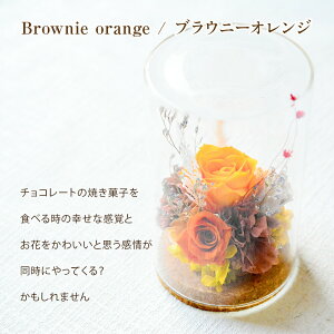 hV̓  vU[uht[ t[AWg P[LZbg v[g vU[uh AW a AWg Vz  Ê   j t[Mtg 