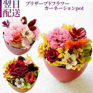  vU[uht[ v[g Mtg aeCXg a vU[uh v[g  p  w ŋz z