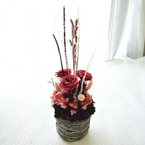  vU[uht[ t[AWg vU[uh AWg a j v[g t[Mtg sN F vU A[g ̖͗lւ  t j 