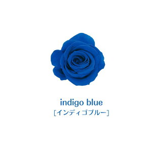  vU[uht[ t[AWg v[g vU[uh AW a AWg Vz  Ê   j t[Mtg vU  CeA 