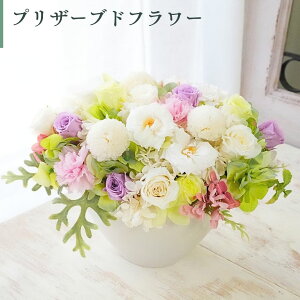  vU[uht[ t[AWg ͂ȂԂ̃Mtg NAP[X肨j  JXj  vU t[Mtg  vȂ  z