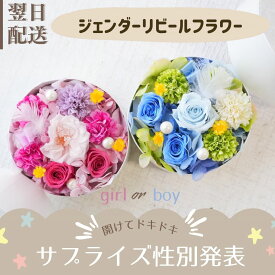 ジェンダーリビール フラワー プリザーブドフラワー アレンジメント 記念品 可愛い 性別発表 妊娠報告 かわいい 花 プリザ 枯れない花 ギフト 妊娠 サプライズ 男の子 女の子 オリジナル