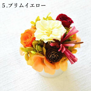  vU[uht[ a AW AWg u[P t[AWg v[g  w LO ق̋C t[Mtg j sN CG[ vU A[