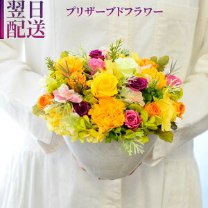  vU[uht[ v[g Mtg AWg  j a vU[uh t[AWg  p  w ŋz z