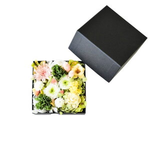   vU[uht[ {bNX  vU[uh t[ t[AWg  d    O vU t[Mtg  vȂ p 