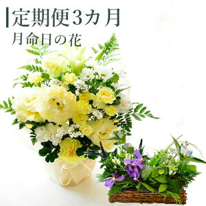 y3Jz      12J t[AWg AWg ԑ ؉  Mtg  p v[g t[Mtg  ʐ^̉ɏ 