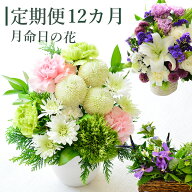 【定期便12カ月】 お供え花 命日 月命日 花 生花 定期便 12カ月 フラワーアレンジメント アレンジメント …