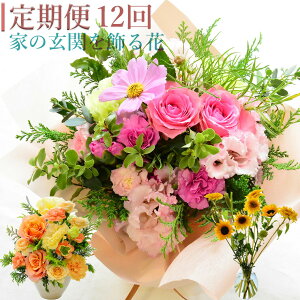 y 12z  ԑ t[AWg ؂ ւ  Ԋuݒ莩R  N[܂ t[AWg ؉ Ԃ̂炵 ܂ t[ ㎿ȕ炵 