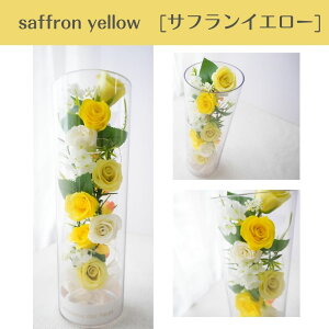  Mtg \[vt[ o V{t[ {g@LEDCg  t[AWg 蕨