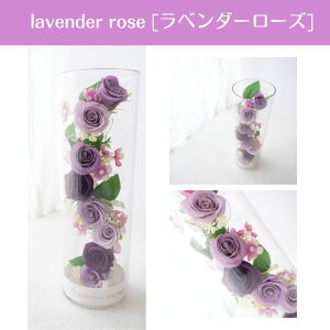  Mtg \[vt[ o V{t[ {g@LEDCg  t[AWg 蕨