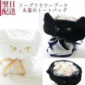  Mtg ԑ KN F̉ԑ \[vt[ V{t[  t[AWg 蕨