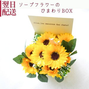  Mtg \[vt[ Ђ܂ F̉ V{t[ {bNX  t[AWg 蕨