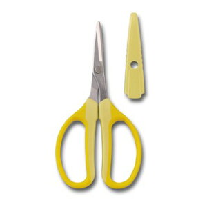 ͂ nT~ Ntg`L Ԑ؂ t  z