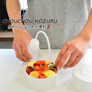 t[AWg{bNXAW̐ɍœKI mY  y RpNg t  z