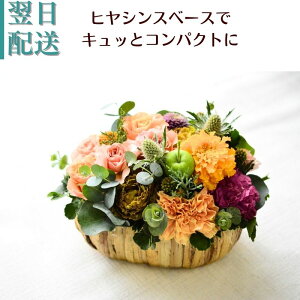  t[AWg  a ԑ t[Mtg j AW Mtg  ̊ p v[g  킢 Al̉ b  z