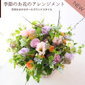  t[AWg  a ԑ t[Mtg j AW Mtg  ̊ p v[g  킢 Al̉ b  z