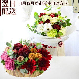  a Ԃɍ t[AWg ԑ u[P  ả a t[Mtg j AW Mtg v[g av   w ŋz ؂ȕ 