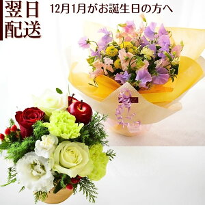  a Ԃɍ t[AWg ԑ u[P  ả a t[Mtg j AW Mtg v[g av   w ŋz ؂ȕ 