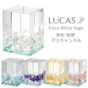グミ ホビーの人気商品 通販 価格比較 価格 Com