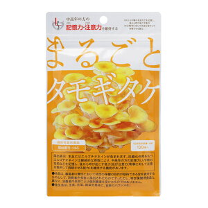 ܂邲ƃ^M^P 120 ^ N̔̕Fm@\iĹEӗ́jێT|[g  Tvg 14 @\\Hi kCFwV[Do