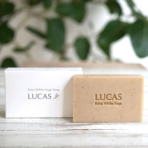 LUCAS JX zCgZ[W \[v ^ Ό ΂  {fB\[v   JtHjAY I[KjbN GbZVIC zCgZ[Wz