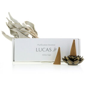 yj[AzLUCAS JX zCgZ[W 򉻍yR[^Cvz20 ^ CZX  K ґzp VR100% nhCh JtHjA I[KjbN {