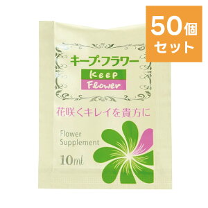 y50ZbgzL[vEt[ 10ml  50{ ^ ؉ԉh{    t[Tvg tW{ { q֕s [