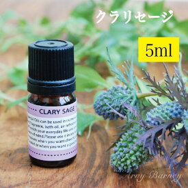 【 クラリセージ 5ml 】MORE モア エッセンシャルオイル アロマオイル 精油 アロマ エッセンシャルオイルアーニーバーニー/フリート/【RCP】【メール便対応】