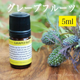 【 グレープフルーツ 5ml 】MORE モア エッセンシャルオイル アロマオイル 精油 アロマ エッセンシャルオイルアーニーバーニー/フリート/【RCP】【メール便対応】