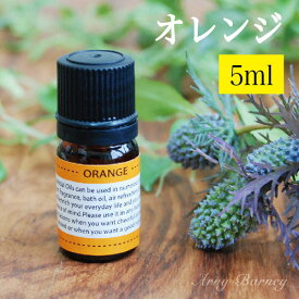 【 オレンジスウィート 5ml 】MORE モア エッセンシャルオイル アロマオイル 精油 アロマ エッセンシャルオイルアーニーバーニー/フリート/【RCP】【メール便対応】