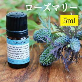 【 ローズマリー 5ml 】MORE モア エッセンシャルオイル アロマオイル 精油 アロマ エッセンシャルオイルアーニーバーニー/フリート/【RCP】【メール便対応】