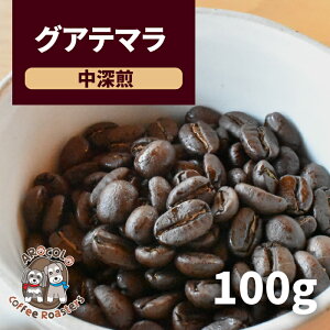 R[q[ R[q[ Ĕ lC Ke} O@e} OAe} OAe}R[q[ 100gy[z ̂܂ 蓤 SHB EGEGeiS v~A h