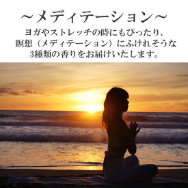 アロマオイル セット済み10種から選べる3本セット 各10ml エッセンシャルオイル AEAJ認定精油 母の日