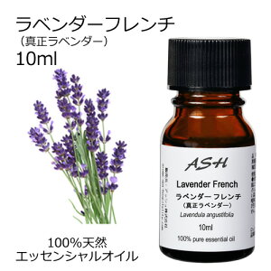オイル レンチ ホビーの人気商品 通販 価格比較 価格 Com オイル レンチ ホビーの人気商品 通販 価格比較 価格 Com