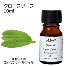 楽天市場 クローブゴキブリの通販