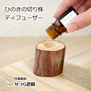 Ђ̂̐؂芔fBt[U[ OgR _ { qmL