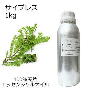 TCvX 1kg e Ɩp GbZVIC A}IC  A} 100VR AEAJ\KF萸 ̎Ή C{CXΉ Sf[^V[gMSDSs TvΉ