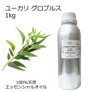 [J OuX e 1kg Ɩp GbZVIC A}IC  A} 100VR AEAJ\KF萸 ̎Ή C{CXΉ Sf[^V[gMSDSs Tv