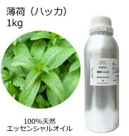 薄荷 ハッカ 和種薄荷 和ハッカ ハッカ油 大容量 1kg 業務用 エッセンシャルオイル アロマオイル 精油 ア…