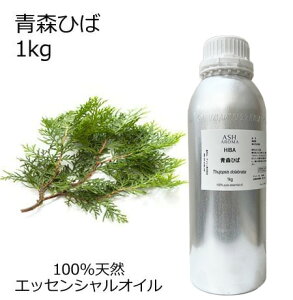 XЂ qo Ot e 1kg Ɩp GbZVIC A}IC  A} 100VR AEAJ\KF萸 ̎Ή C{CXΉ TvΉ