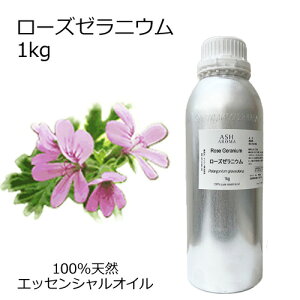 [Y[jE e 1kg Ɩp GbZVIC A}IC  A} 100VR AEAJ\KF萸 ̎Ή C{CXΉ Sf[^V[gMSDSs Tv