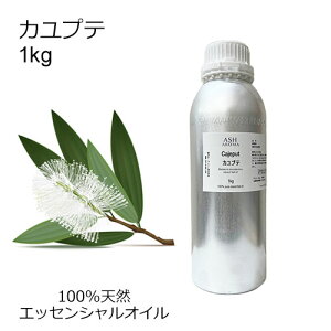 Jve e 1kg e Ɩp GbZVIC A}IC  A} 100VR AEAJ\KF萸 ̎Ή C{CXΉ Sf[^V[gMSDSs TvΉ