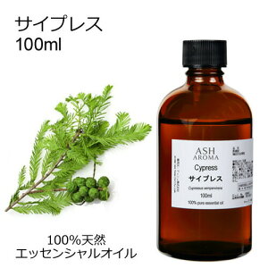 yő10%OFFN[|Iz TCvX 100ml A}IC GbZVIC  VR100% AR i AEAJF BЂ̂ Ebhn ،n A}es[ A}}bT[W A