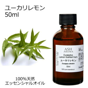 [J 50ml A}IC GbZVIC  VR100% AR i AEAJF VgIh Ebhn ،n  A}es[ A}Xv[ F tbgoX  