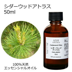 シダーウッド アトラス 50ml アロマオイル エッセンシャルオイル 精油 天然100% 植物由来 高品質 AEAJ認定 アトラス杉 ウッド系 樹木系 香り アロマテラピー アロママッサージ アロマバス 芳香