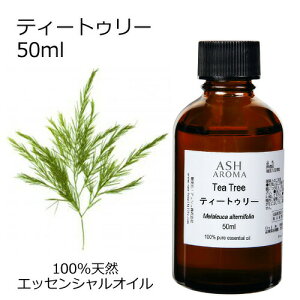 ティートゥリー 50ml アロマオイル エッセンシャルオイル 精油 天然100% 植物由来 高品質 AEAJ認定 ティートリー ティーツリー ウッド系 樹木系 香り アロマテラピー アロマスプレー フットバス